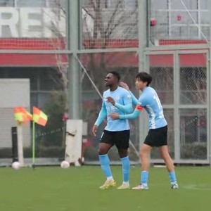 虎扑在线观看-辽宁铁人砸钱真能争冠？先问问山东泰山答不答应！|英博|中超|上海申花足球俱乐部|大连英博|申花_新浪体育_新浪新闻